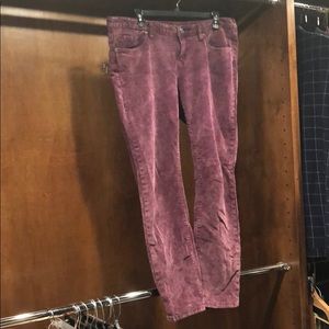 BDG plum cords